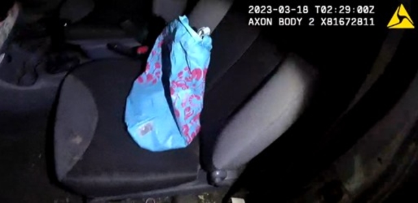 Officers rescue 6 puppies tied up in bag: ‘Right place, right time’ - picture 2
