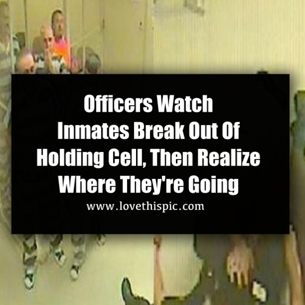 Officers Watch Inmates Break Out Of Holding Cell, Then Realize Where They're Going