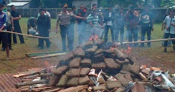 Officials Burn 3 Tons Of Cannabis, Quickly Realize They Didn't Think It All The Way Through - picture 3