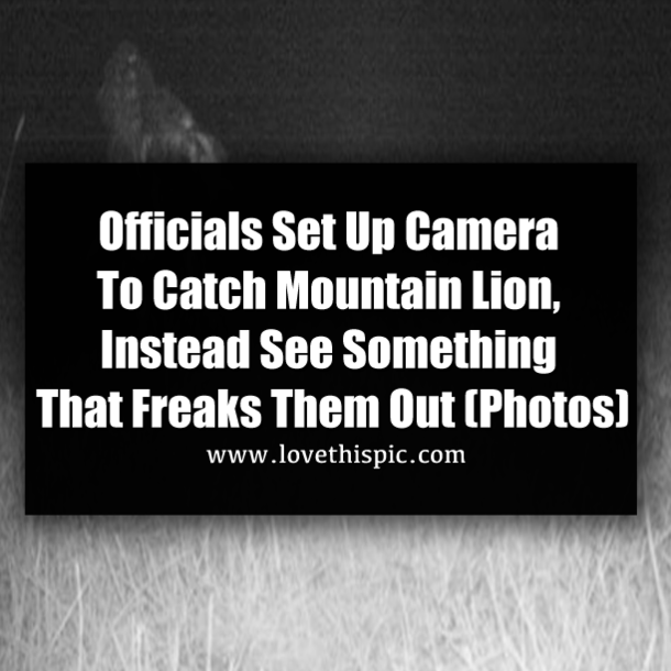 Officials Set Up Camera To Catch Mountain Lion, Instead See Something That Freaks Them Out (Photos)
