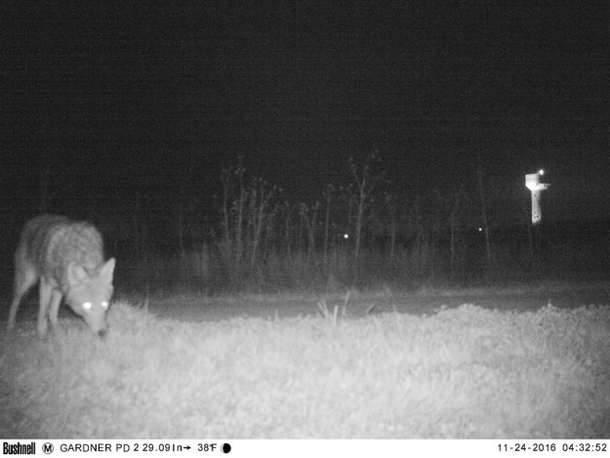 Officials Set Up Camera To Catch Mountain Lion, Instead See Something That Freaks Them Out (Photos) - picture 3