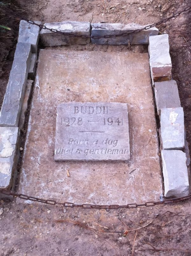 Old grave discovered in park is sweet memorial to dog named Buddie: ‘Born a dog, died a gentleman’ - picture 2