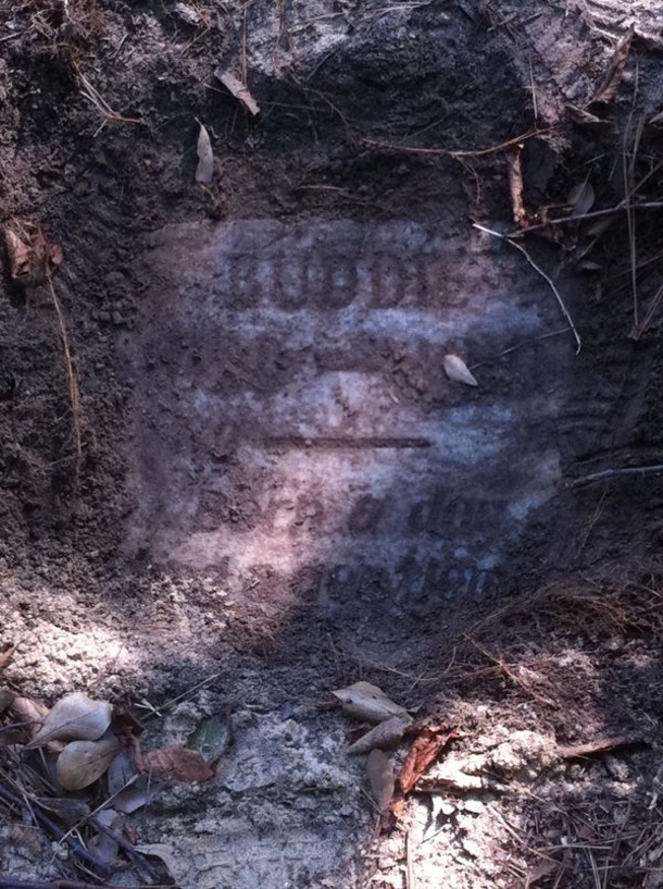 Old grave discovered in park is sweet memorial to dog named Buddie: ‘Born a dog, died a gentleman’ - picture 3