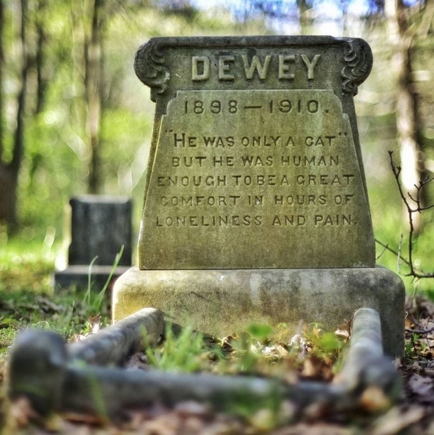 Old grave discovered in park is sweet memorial to dog named Buddie: ‘Born a dog, died a gentleman’ - picture 4