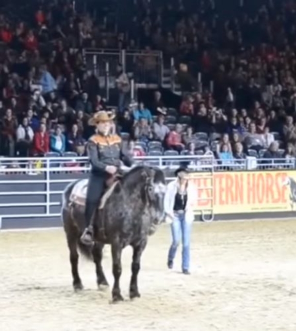 Once Horse Hears This Favorite Song Come On, The Crowd Goes Wild! - picture 2