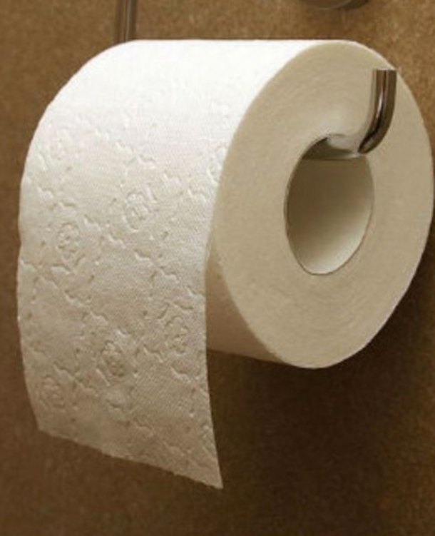 Once You Read This, You Will Never Put Toilet Paper On A Seat AGAIN! - picture 3