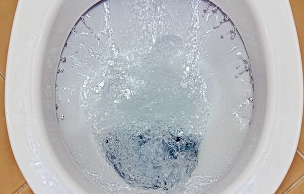Once You Read This, You Will Never Put Toilet Paper On A Seat AGAIN! - picture 4