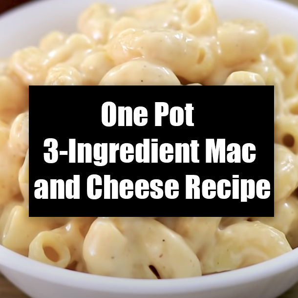 One Pot 3-Ingredient Mac and Cheese Recipe