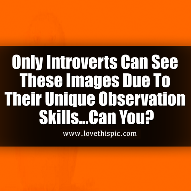 Only Introverts Can See These Images Due To Their Unique Observation Skills...Can You?