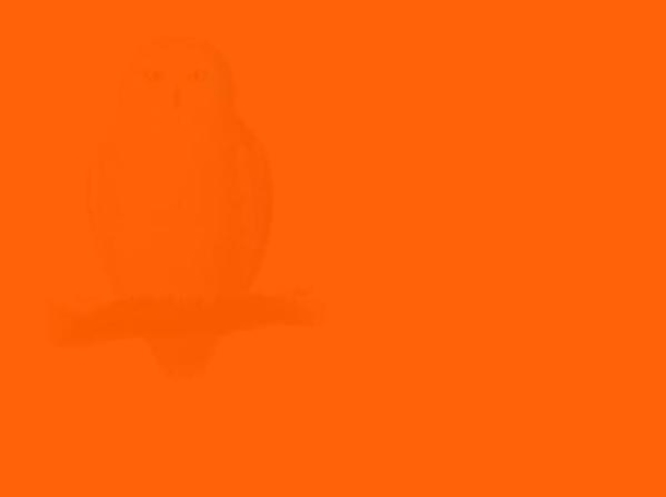 Only Introverts Can See These Images Due To Their Unique Observation Skills...Can You? - picture 2