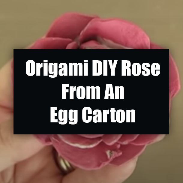 Origami DIY Rose From An Egg Carton