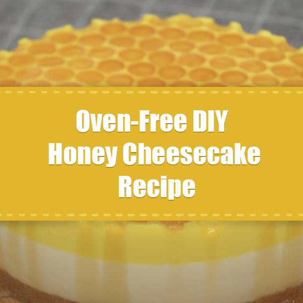 Oven-Free DIY Honey Cheesecake Recipe