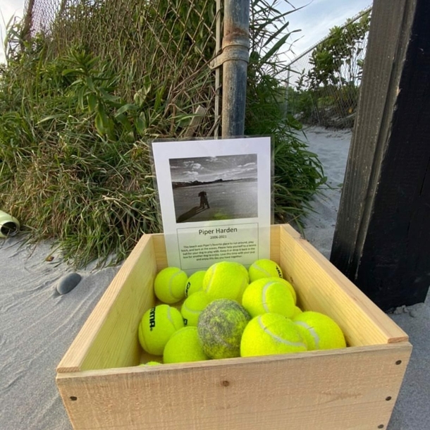 Owner creates free tennis ball stand on beach in honor of dog who died - picture 2