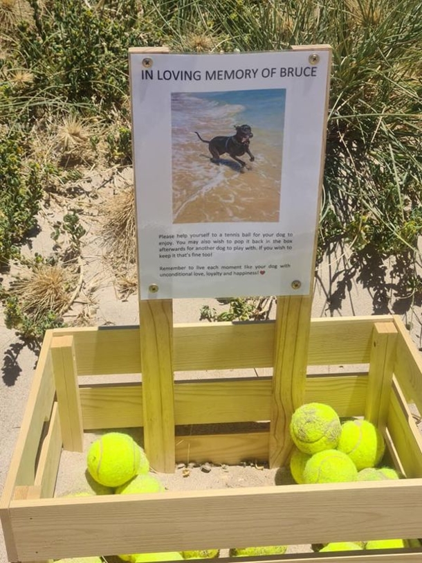 Owner creates free tennis ball stand on beach in honor of dog who died - picture 4