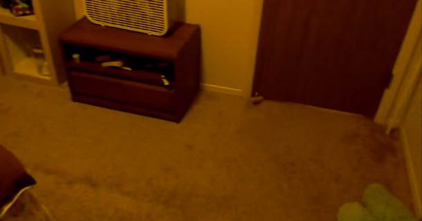 Owner Films Creative Way His Cat Wakes Him Up Everyday At 5AM, Goes Viral Overnight [video] - picture 2