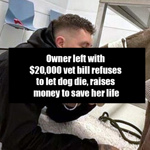 Owner left with $20,000 vet bill refuses to let dog die, raises money to save her life