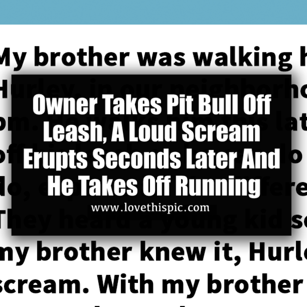 Owner Takes Pit Bull Off Leash, A Loud Scream Erupts Seconds Later And He Takes Off Running