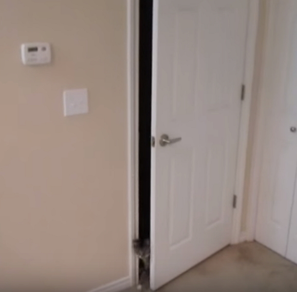 Owner Tries To Stop Cat From Waking Him - Quickly Realizes His Plan Is Foiled By Clever Kitty's Intelligence - picture 2