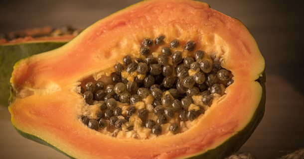 Papaya Seeds: The Benefits And How They Cleanse The Body & Improve Your Digestive System - picture 2