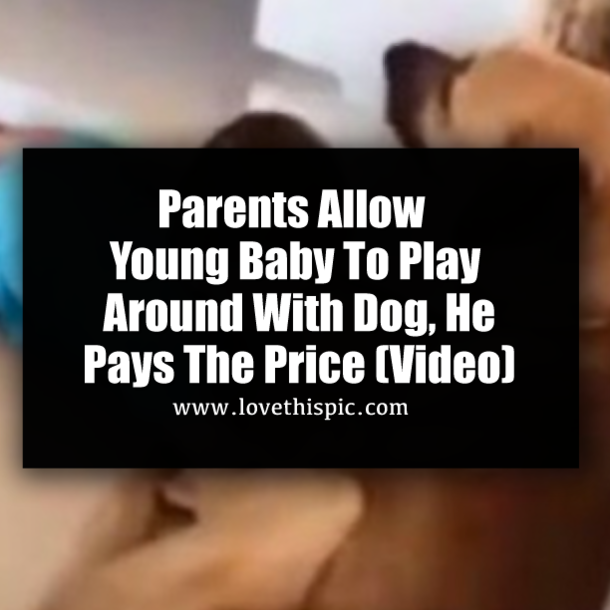 Parents Allow Young Baby To Play Around With Dog, He Pays The Price (Video)
