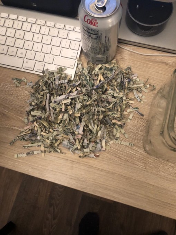 Parents are shocked as they learn their toddler shredded over $1000 saved to pay debt - picture 3