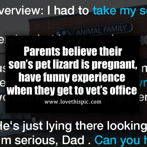 Parents believe their son’s pet lizard is pregnant, have funny experience when they get to vet’s office
