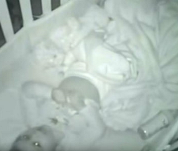 Parents Lay Toddler Down To Sleep, Then Notice Whispers Coming From Baby Monitor (Video) - picture 5