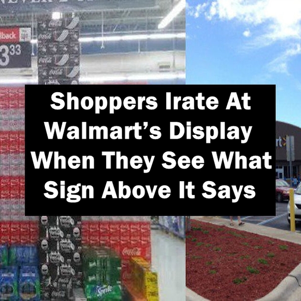 People Are Irate At Walmart’s Display When They See What Sign Above It Says