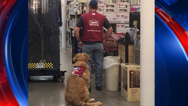 People Are Shocked At What Else Is In Pic Of Veteran At Lowe’s On Closer Look. Now It's Going Viral. - picture 2