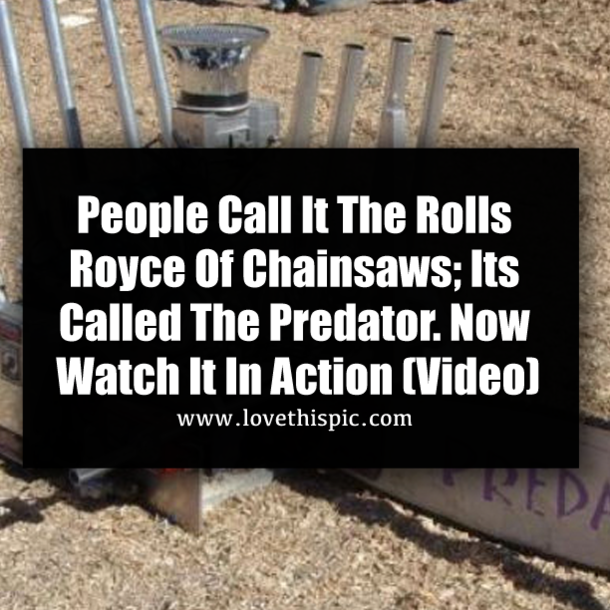 People Call It The Rolls Royce Of Chainsaws; Its Called The Predator. Now Watch It In Action (Video)