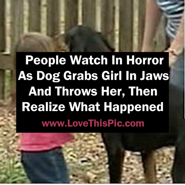 People Watch In Horror As Dog Grabs Girl In Jaws And Throws Her, Then They Realize What Happened. WOW!