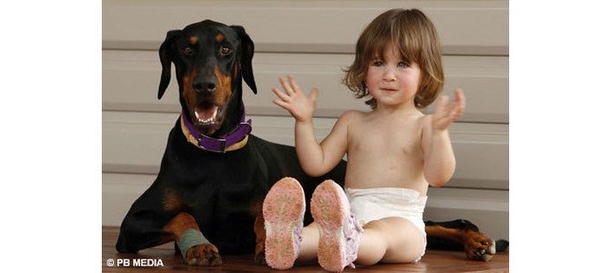People Watch In Horror As Dog Grabs Girl In Jaws And Throws Her, Then They Realize What Happened. WOW! - picture 2