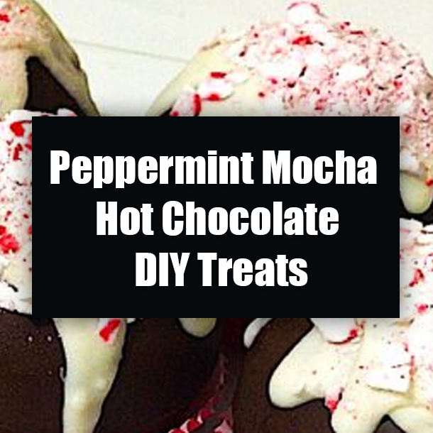 Peppermint Mocha Hot Chocolate DIY Treats