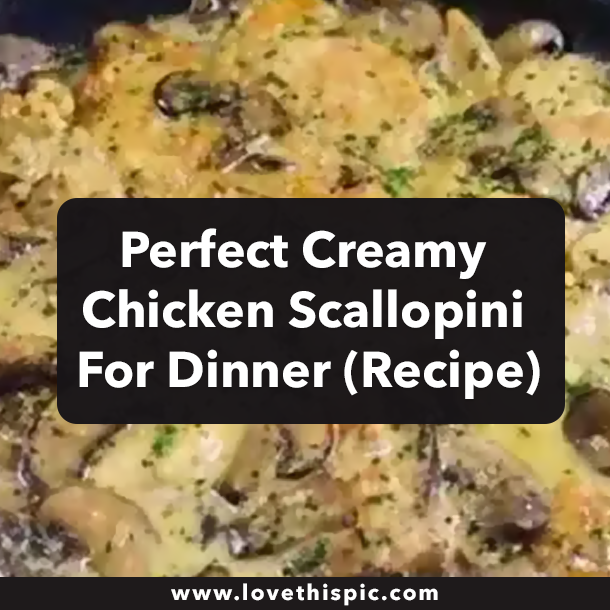 Perfect Creamy Chicken Scallopini For Dinner (Recipe)