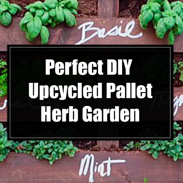 Perfect DIY Upcycled Pallet Herb Garden