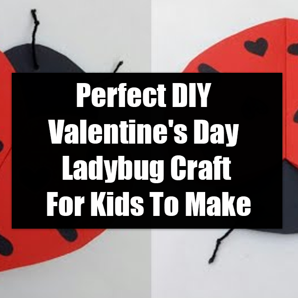 Perfect DIY Valentine's Day Ladybug Craft For Kids To Make