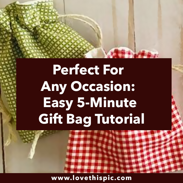 Perfect For Any Occasion: Easy 5-Minute Gift Bag Tutorial
