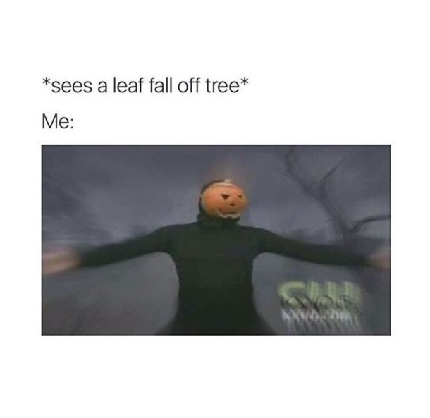 Perfect Funny Memes To Get You Ready For The Fall! - picture 11