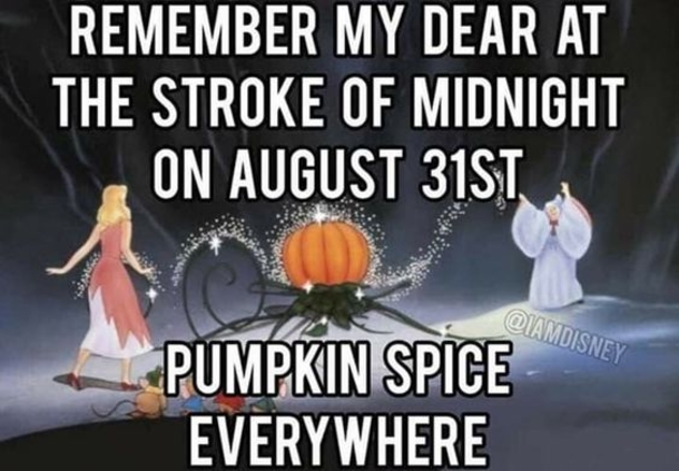 Perfect Funny Memes To Get You Ready For The Fall! - picture 5