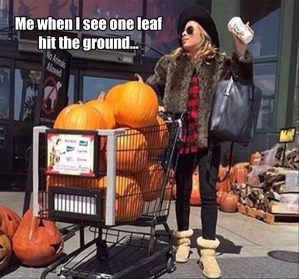 Perfect Funny Memes To Get You Ready For The Fall! - picture 6