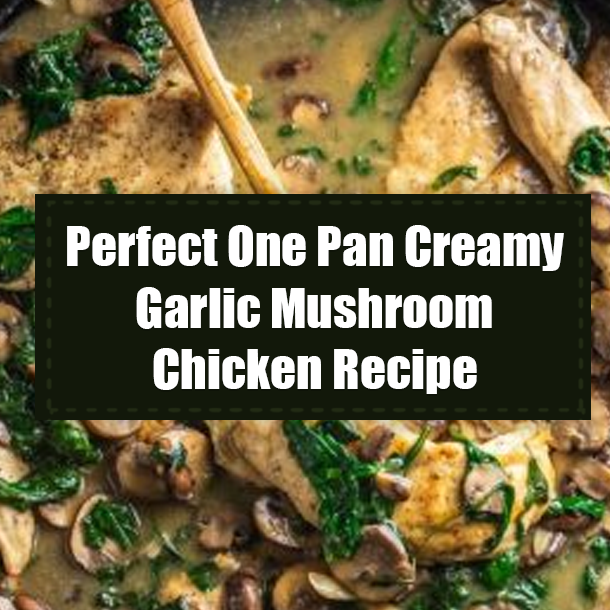 Perfect One Pan Creamy Garlic Mushroom Chicken Recipe