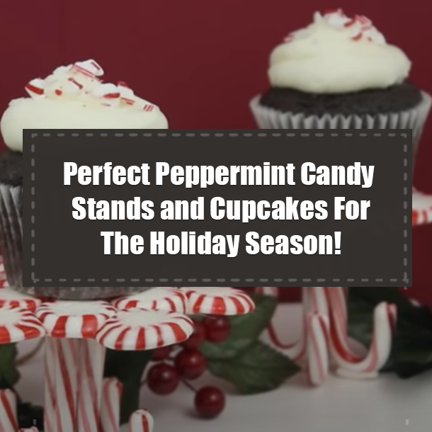 Perfect Peppermint Candy Stands and Cupcakes For The Holiday Season!