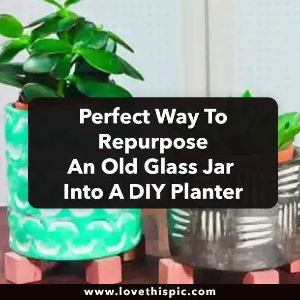 Perfect Way To Repurpose An Old Glass Jar Into A DIY Planter