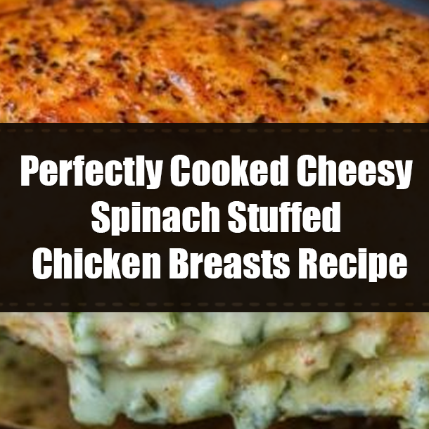 Perfectly Cooked Cheesy Spinach Stuffed Chicken Breasts Recipe