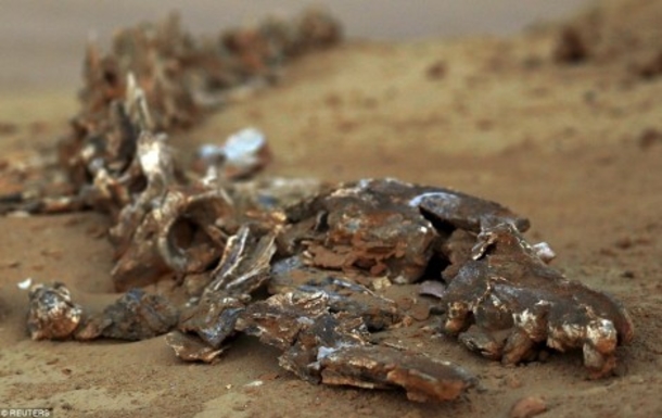 PHOTOS: What Archaeologists Just Put on Display Has Bible Believers Saying “I Told You So” to Atheists - picture 2