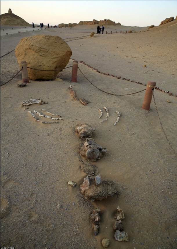 PHOTOS: What Archaeologists Just Put on Display Has Bible Believers Saying “I Told You So” to Atheists - picture 3
