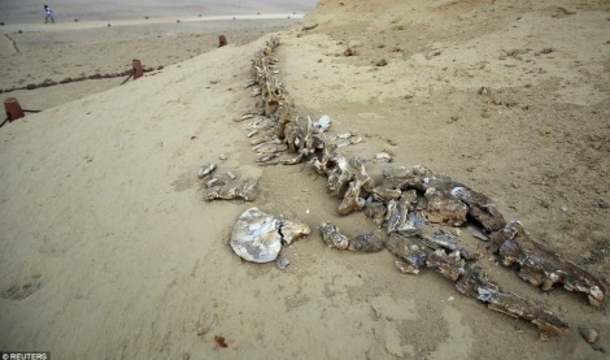 PHOTOS: What Archaeologists Just Put on Display Has Bible Believers Saying “I Told You So” to Atheists - picture 4