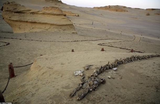 PHOTOS: What Archaeologists Just Put on Display Has Bible Believers Saying “I Told You So” to Atheists - picture 7