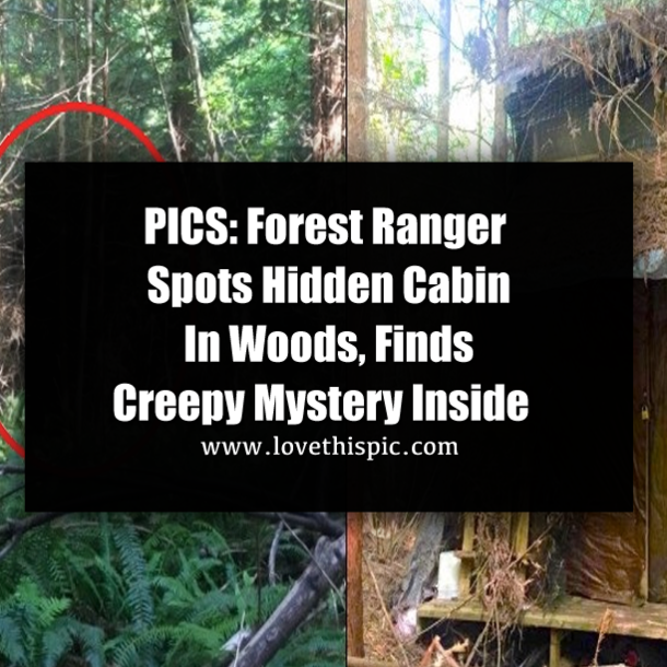 PICS: Forest Ranger Spots Hidden Cabin In Woods, Finds Creepy Mystery Inside