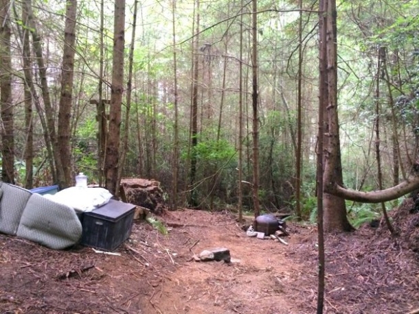 PICS: Forest Ranger Spots Hidden Cabin In Woods, Finds Creepy Mystery Inside - picture 11
